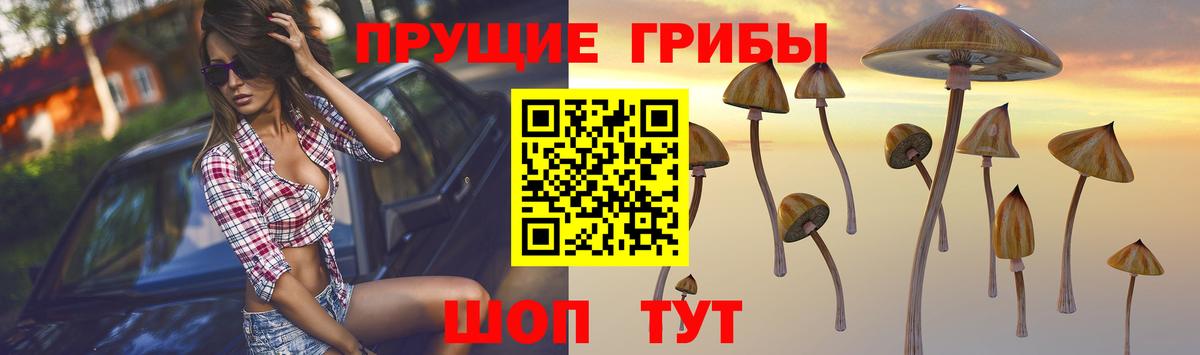 Галлюциногенные грибы Psilocybe  Вход с VPN  Псилоцибиновые грибы Psilocybine cubensis  Уссурийск 